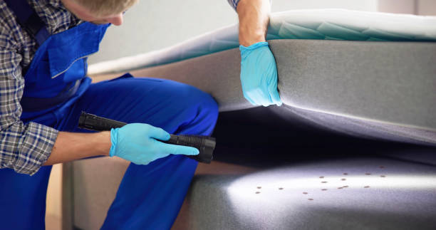 Best Pest Control for Businesses  in Fayetteville, AR