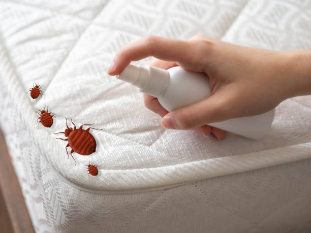 Best Best Pest Control Near Me  in Fayetteville, AR