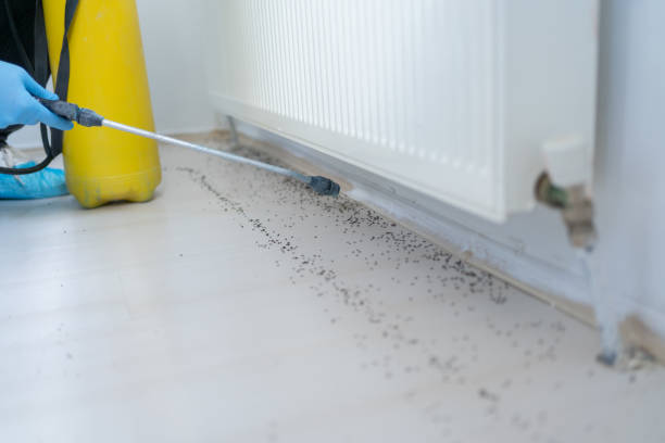 Best Commercial Pest Control Services  in Fayetteville, AR